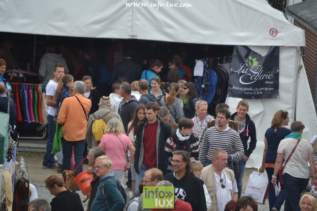 images/stories/PHOTOSREP/Libramont-Chevigny/Foire-libramont2/foirelibramont265