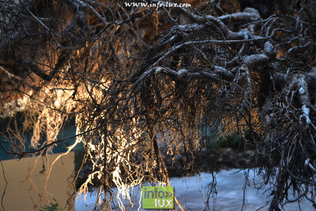 images/stories/PHOTOSREP/Libramont-Chevigny/Foire-libramont2/foirelibramont370