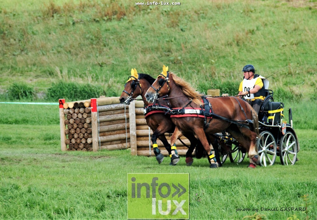 images/2017cheval1/infolux00002