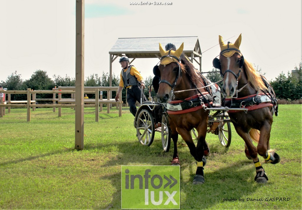 images/2017cheval1/infolux00003