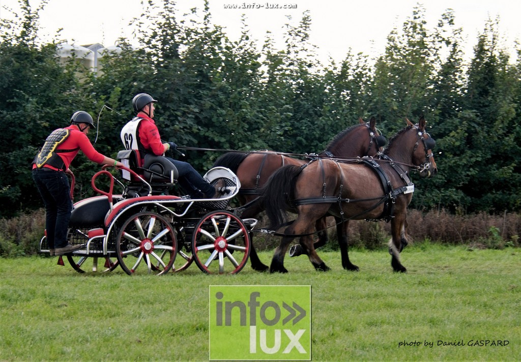images/2017cheval1/infolux00004