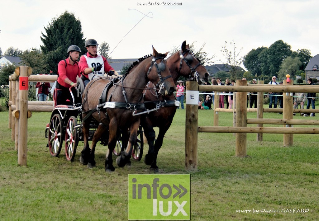images/2017cheval1/infolux00005