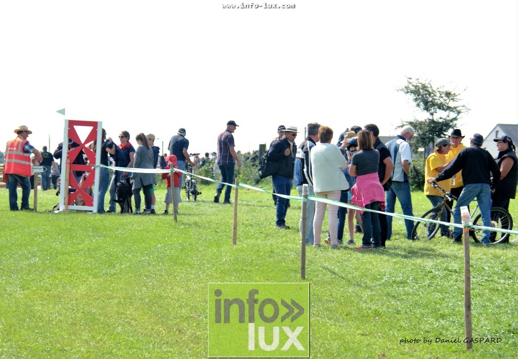 images/2017cheval1/infolux00009