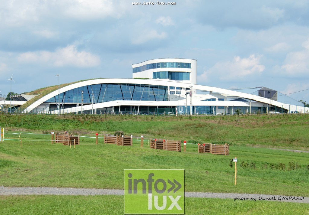 images/2017cheval1/infolux00010