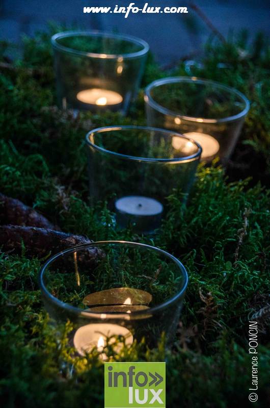 images/2017-11-a/gaume00001