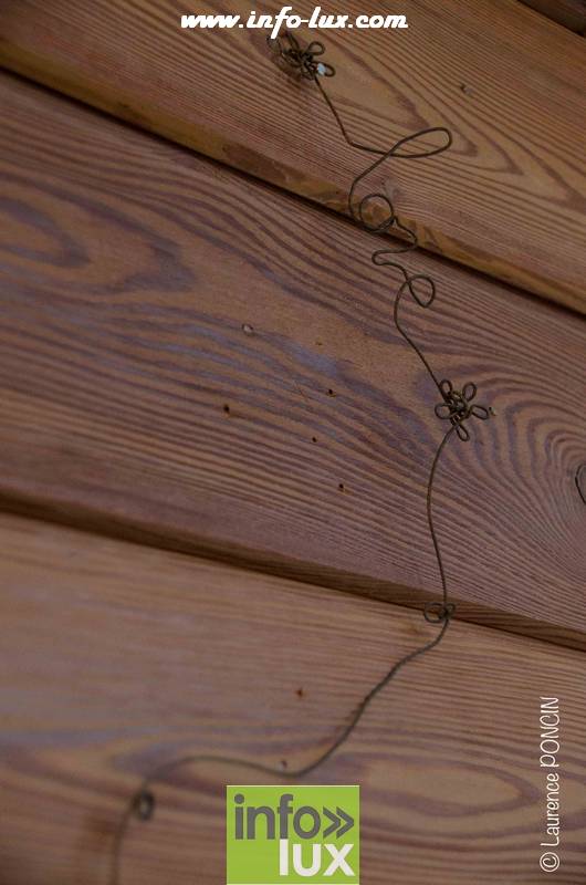 images/2017-11-a/gaume00033