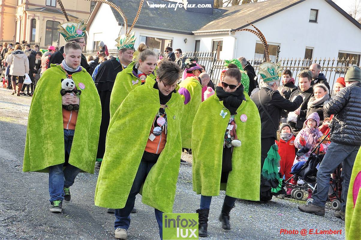 images/2018carnaval-martelange3/Martelangecar00154