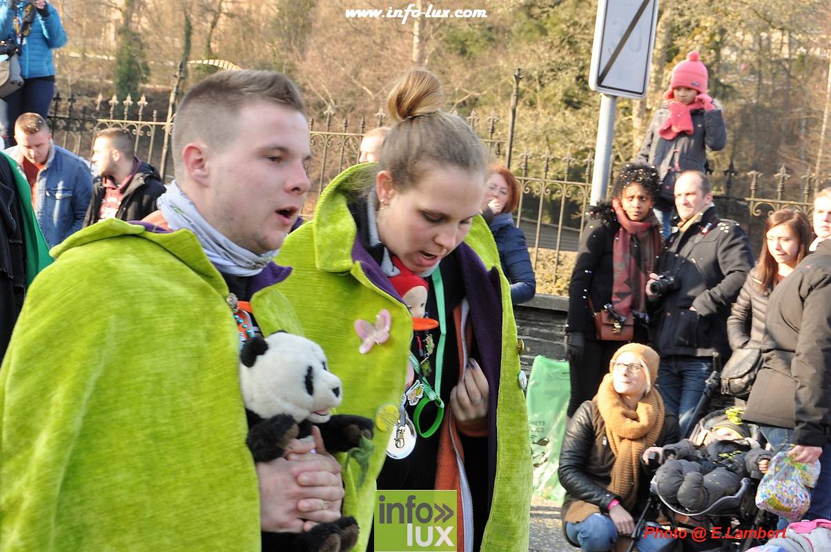 images/2018carnaval-martelange3/Martelangecar00155