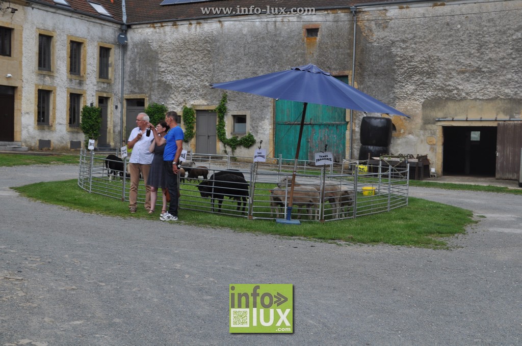 images/2018virton-wkbienvenu/Virton117