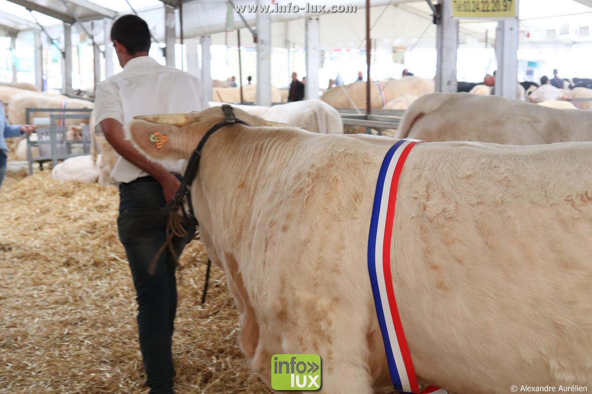 images/2019/septembre/sedan2/foire-sedan00045