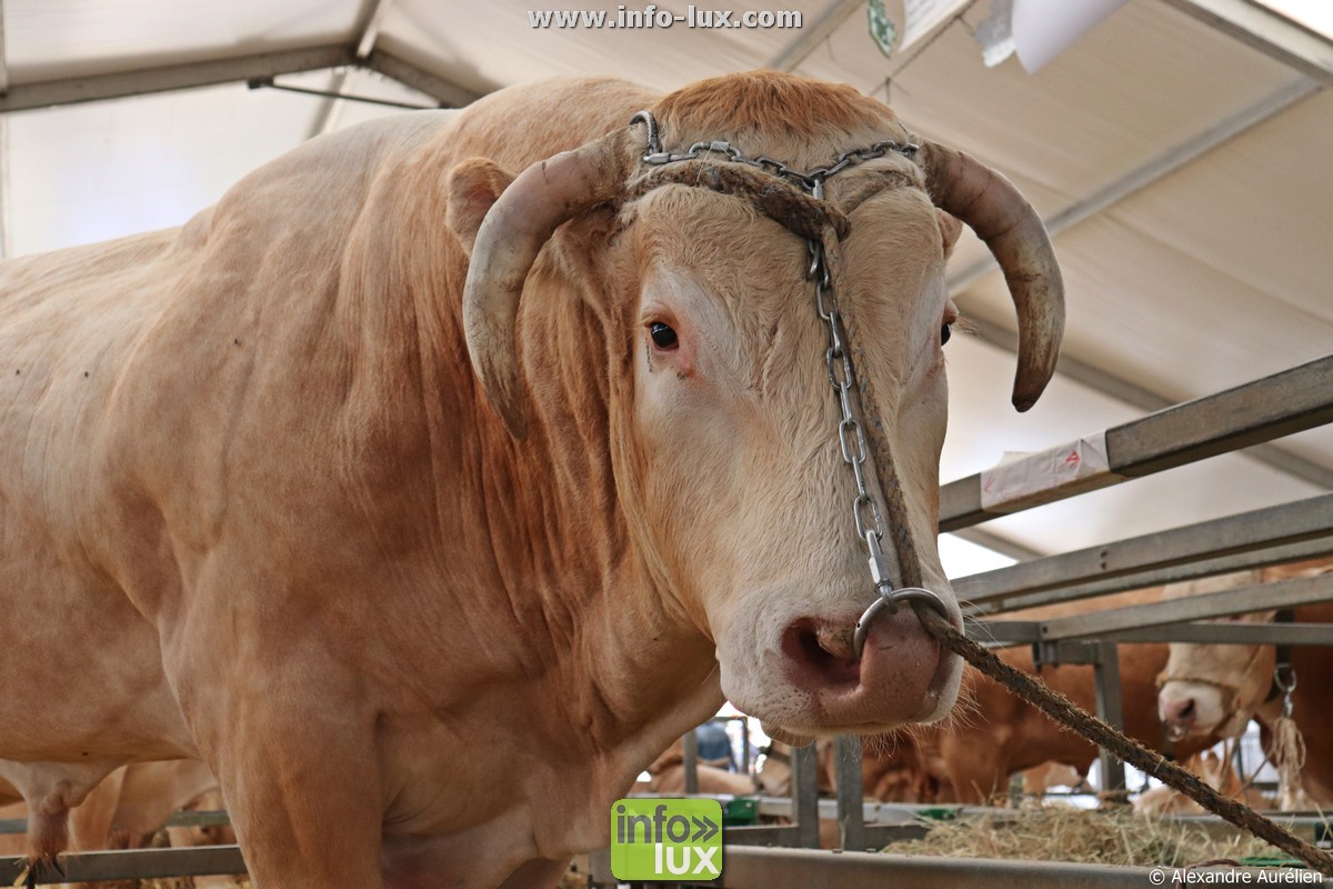 images/2019/septembre/sedan2/foire-sedan00046