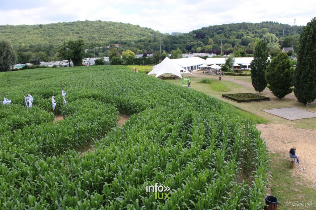 Labyrinthe Durbuy Photos