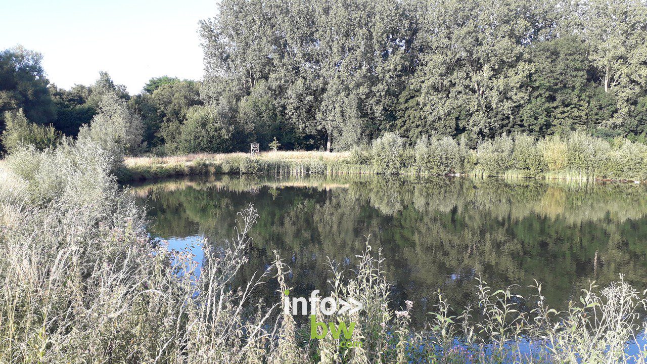 Braine l'Alleud > Une soirée au Paradis