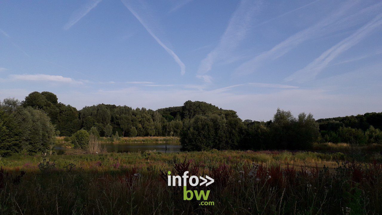 Braine l'Alleud > Une soirée au Paradis