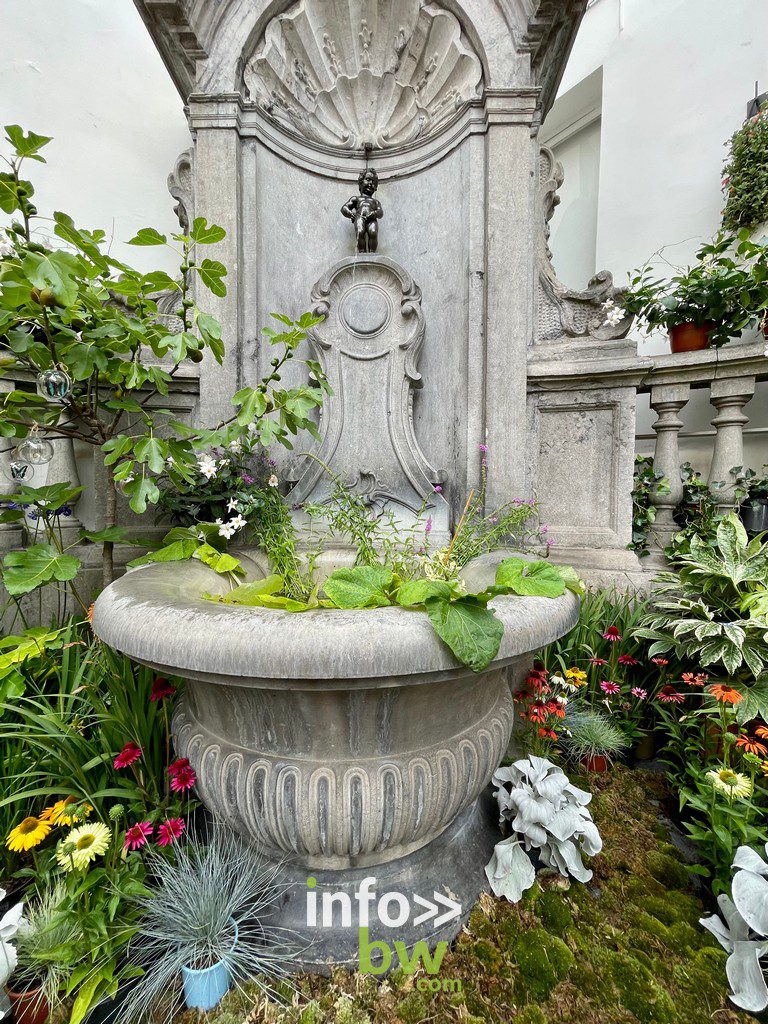 Bruxelles en fleurs > Photos