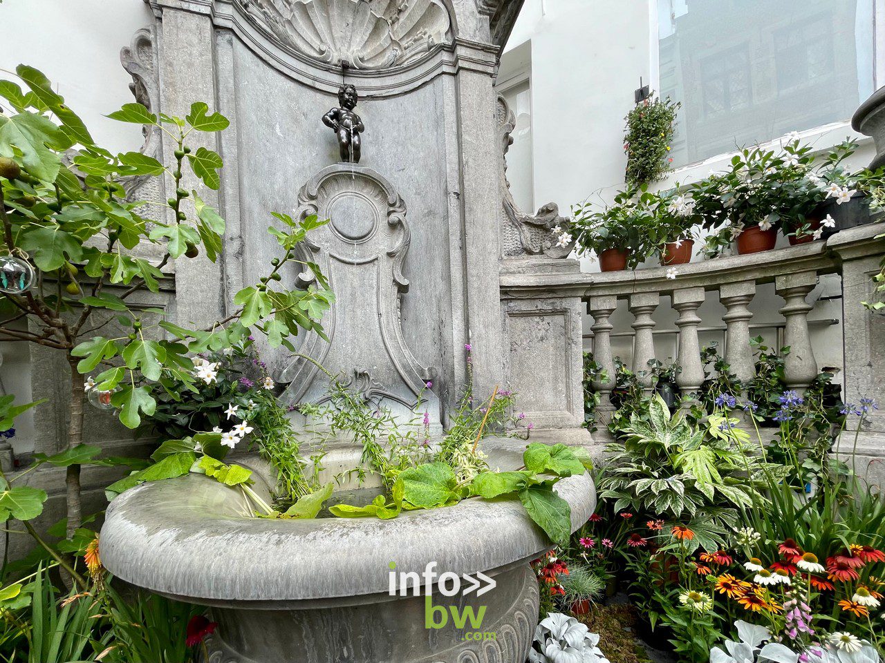 Bruxelles en fleurs > Photos