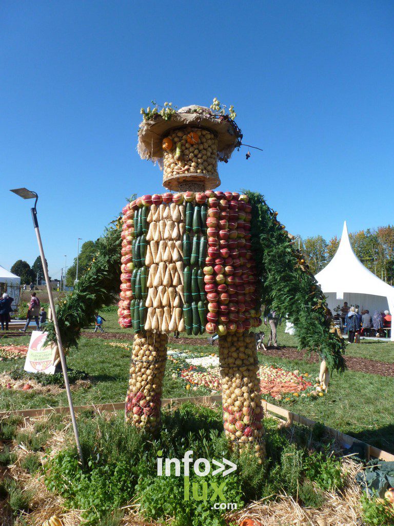 La Fédération Wallonne Horticole et ses différents partenaires, tous impliqués dans le secteur horticole professionnel, organisent ensemble, à Gembloux (Brabant wallon), la 2ème édition d’Hortifolies les 16, 17 et 18 septembre 2022.
