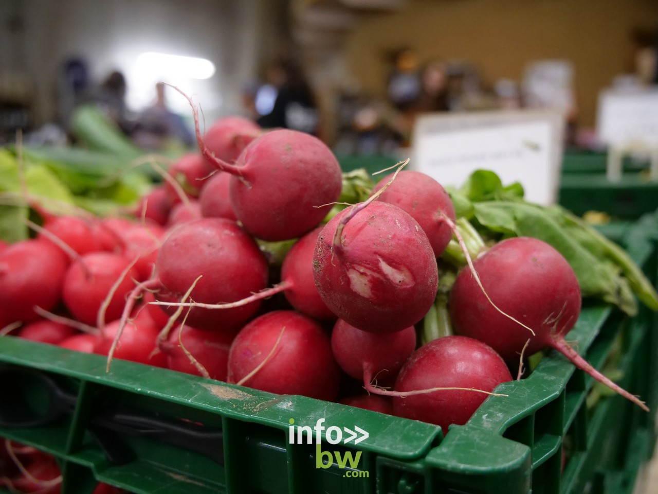 Manger Demain... Les secteurs de la distribution vrac, bio et circuit court se mobilisent face aux crises : des actions individuelles et collectives se dessinent en Wallonie