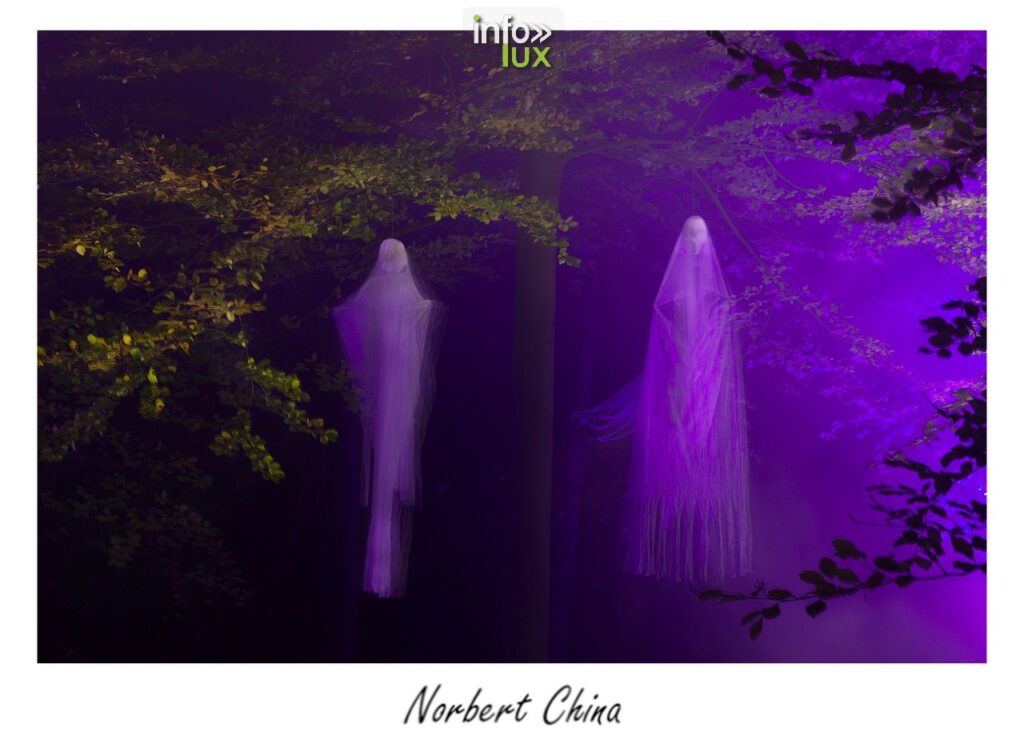 CHÂTEAU DE LA HULPE SONS ET LUMIÈRES