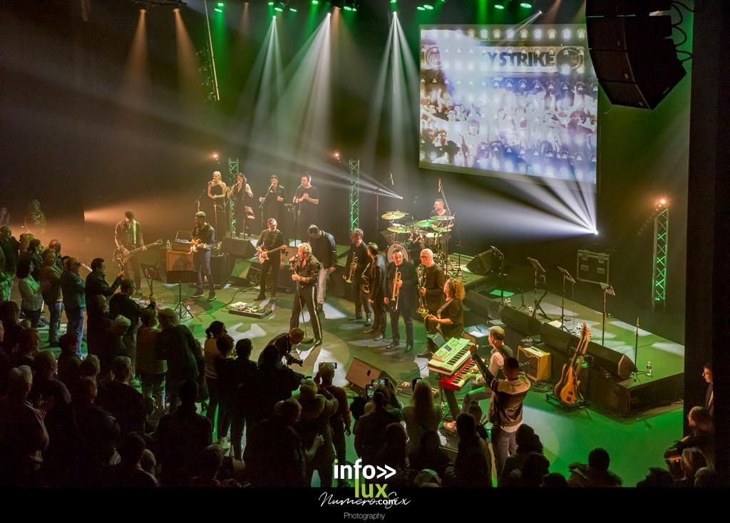 CONCERT TRIBUTE JOHNNY HALLYDAY