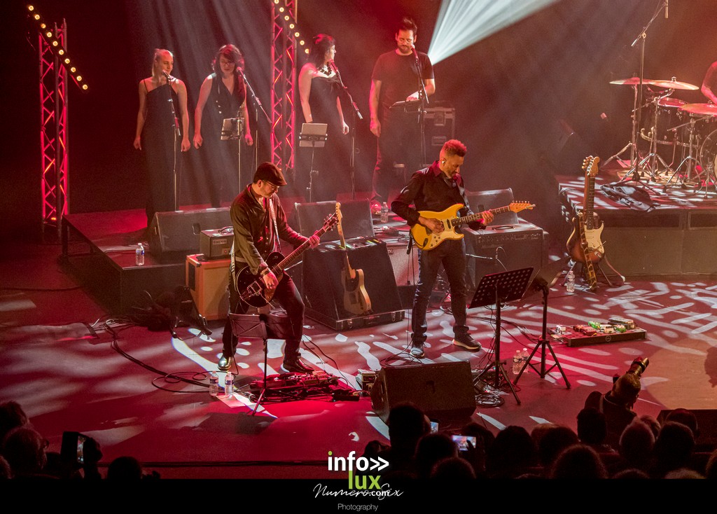 CONCERT TRIBUTE JOHNNY HALLYDAY
