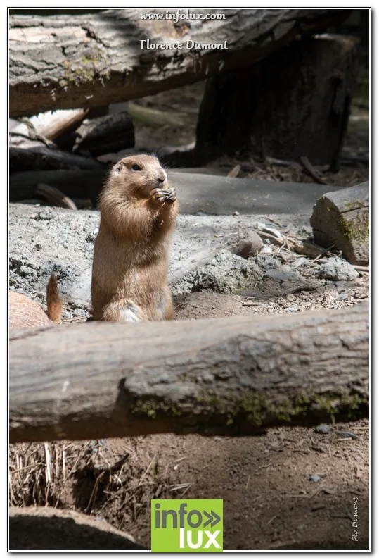 Vaux-Sur-Sûre > Zoopark > Photos