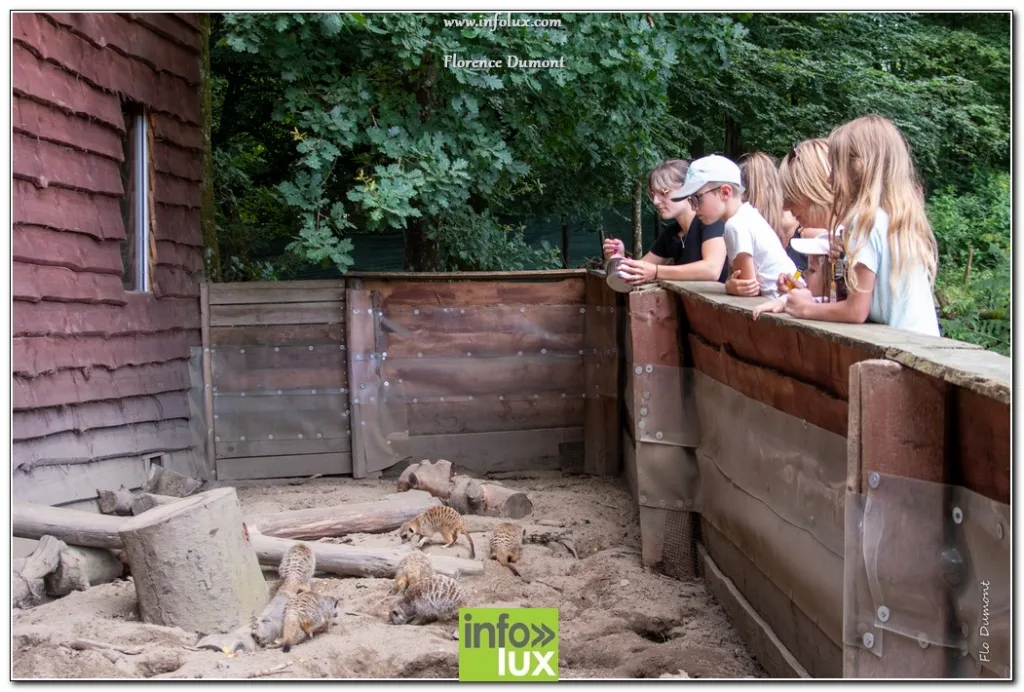 Vaux-Sur-Sûre > Zoopark > Photos