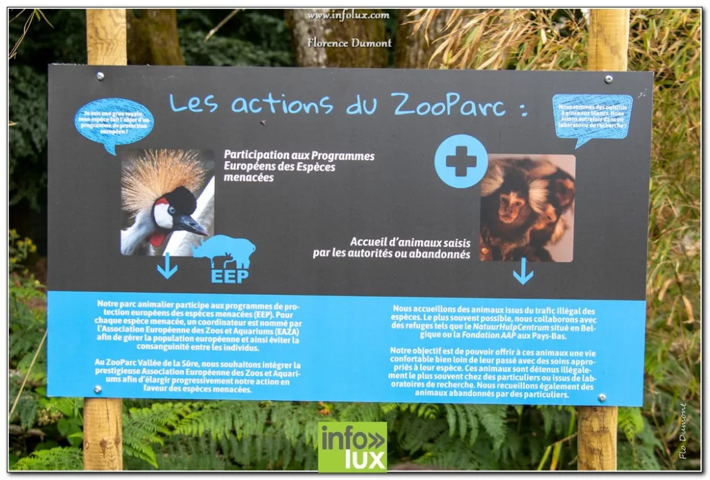 Vaux-Sur-Sûre > Zoopark > Photos