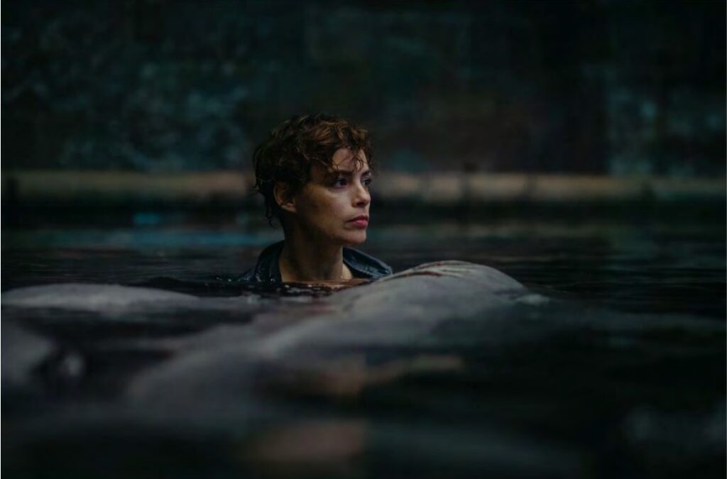FESTIVAL > FANTASTIQUE > GERARDMER
