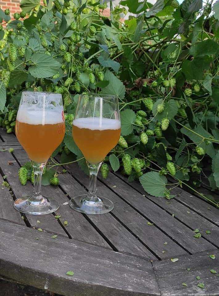 La Touteur – brasserie artisanale en province de Luxembourg