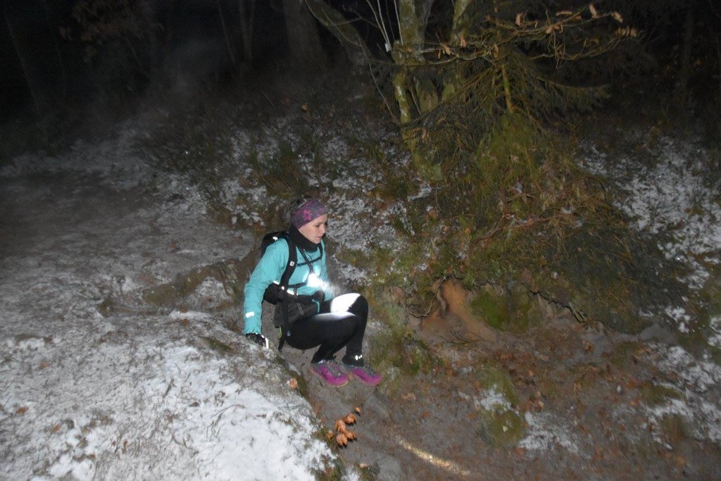 Virton > Trévire Night Trail