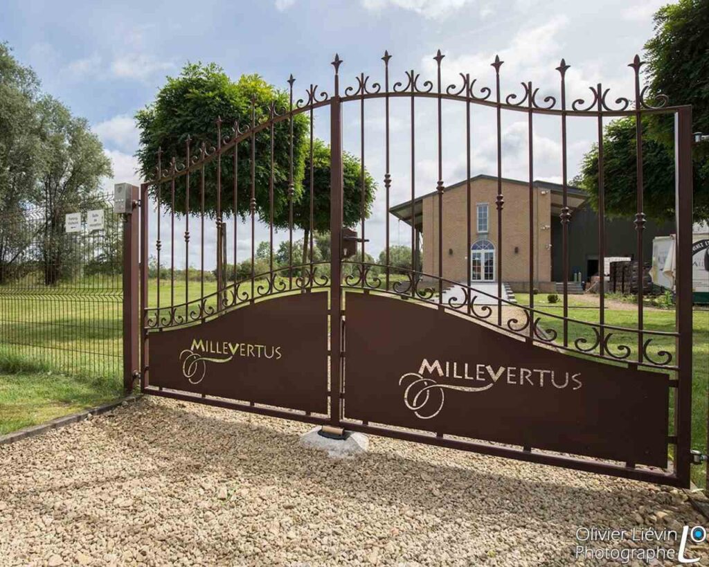 Festival Happy Family > Brasserie MilleVertus