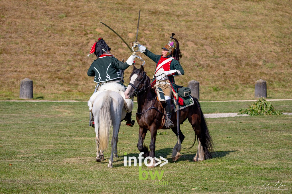 Waterloo 1815 > festivités > Cheval