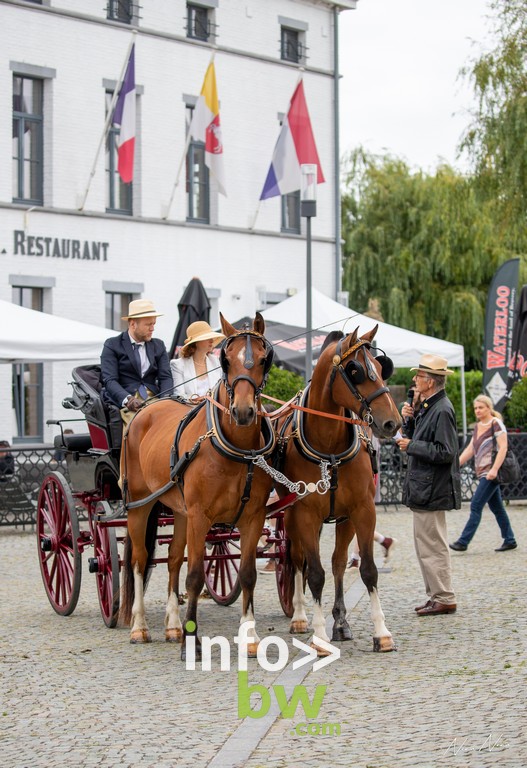 Waterloo 1815 > festivités > Cheval