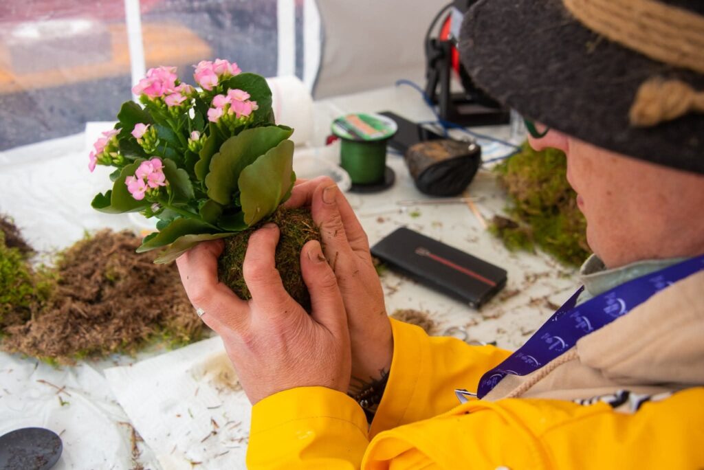 Arlon > Art Végétal > Kokedama