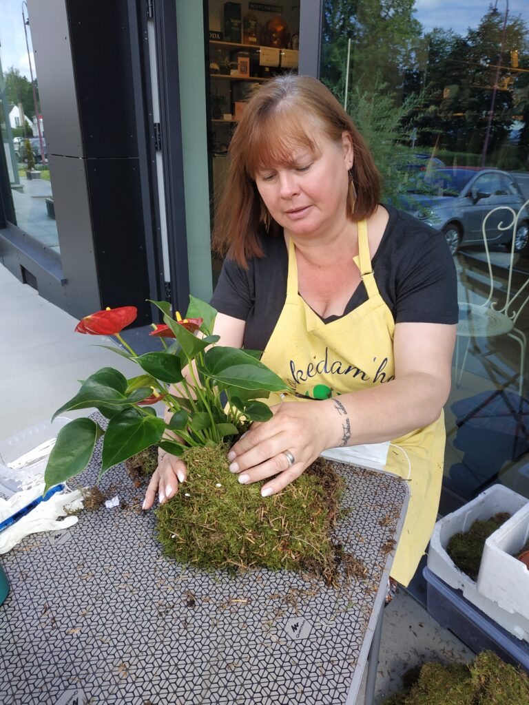 Arlon > Art Végétal > Kokedama