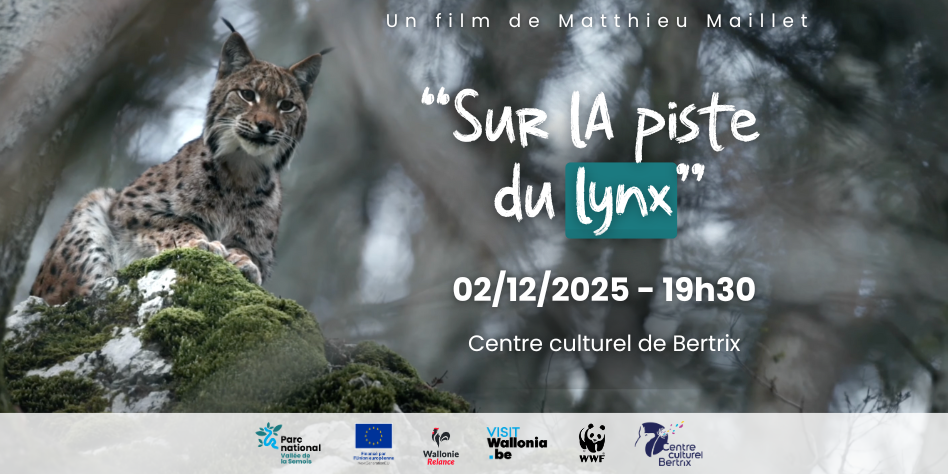 Bertrix > Film > Piste Lynx