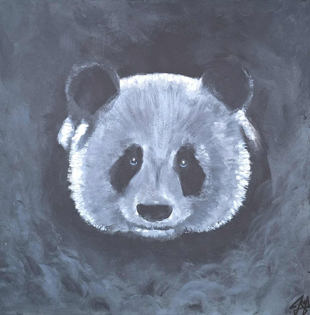 Artiste > Portrait > Nico Fleuriot