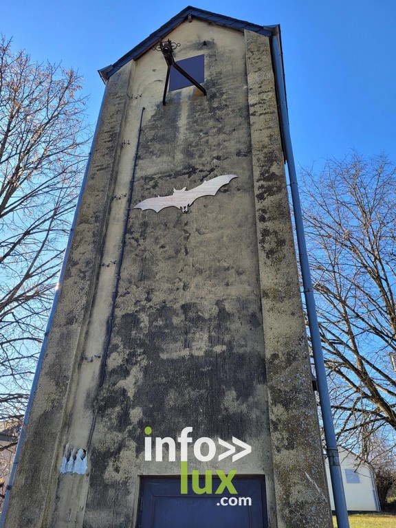 Attert > Gîtes > Chauves-souris