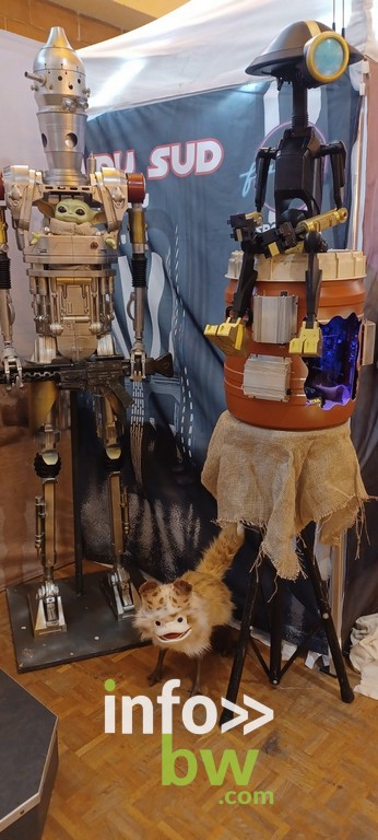 Cosplay > Légion du Sud
