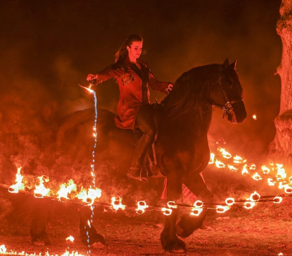 Flémalle > Spectacle Equestre > Nova