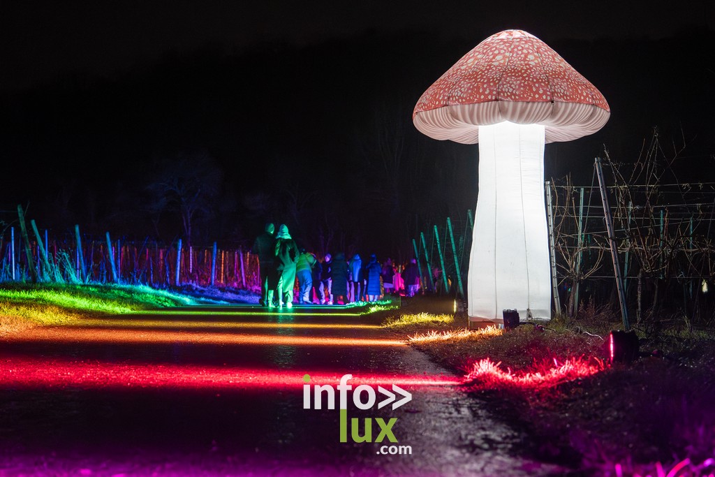 Luxembourg > Wine Lights > Photos
