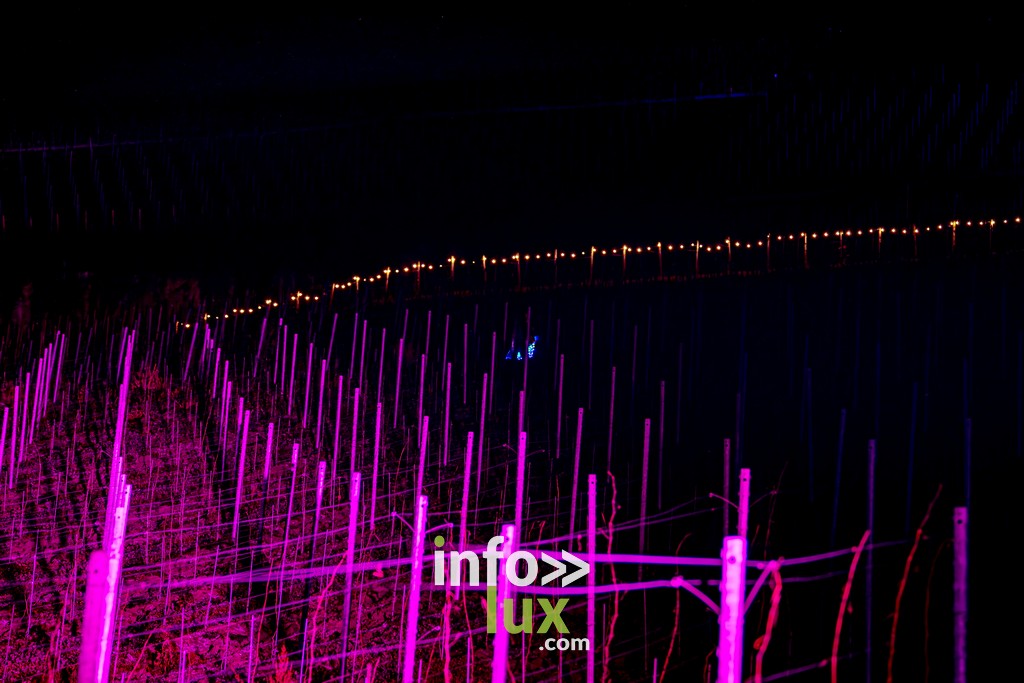 Luxembourg > Wine Lights > Photos