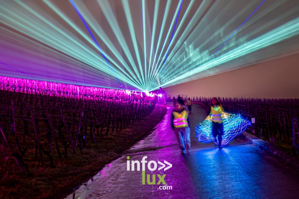 Luxembourg > Wine Lights > Photos
