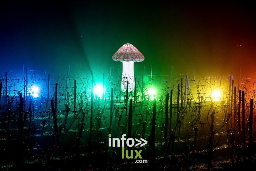 Luxembourg > Wine Lights > Photos