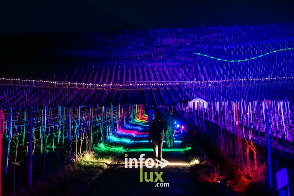 Luxembourg > Wine Lights > Photos