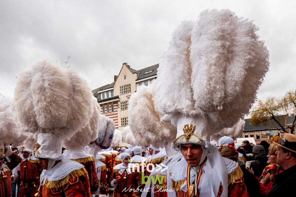 Nivelles > Carnaval 2026 > Photos