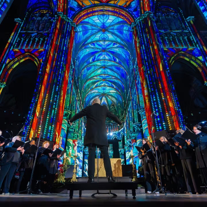 Bruxelles > Spectacle > Luminiscence
