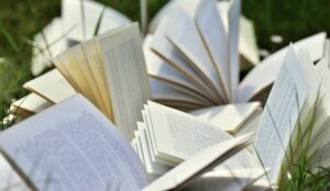 Attert Atelier lecture partagée arpentage écologie