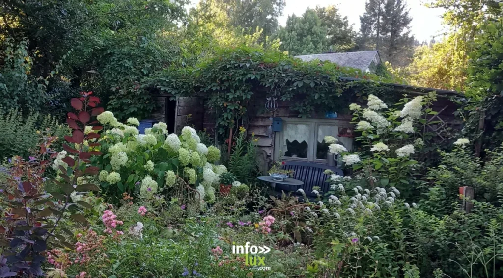Suxy > Jardin de Bubu